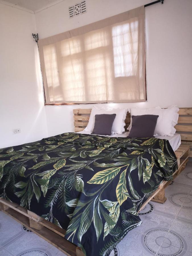 Safari Adventures-House Bed & Breakfast Arusha Dış mekan fotoğraf